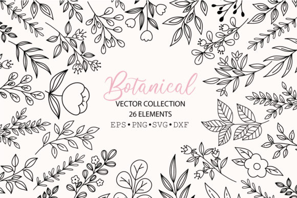 Download Botanical SVG Collection. 26 Elements. - Element Collection